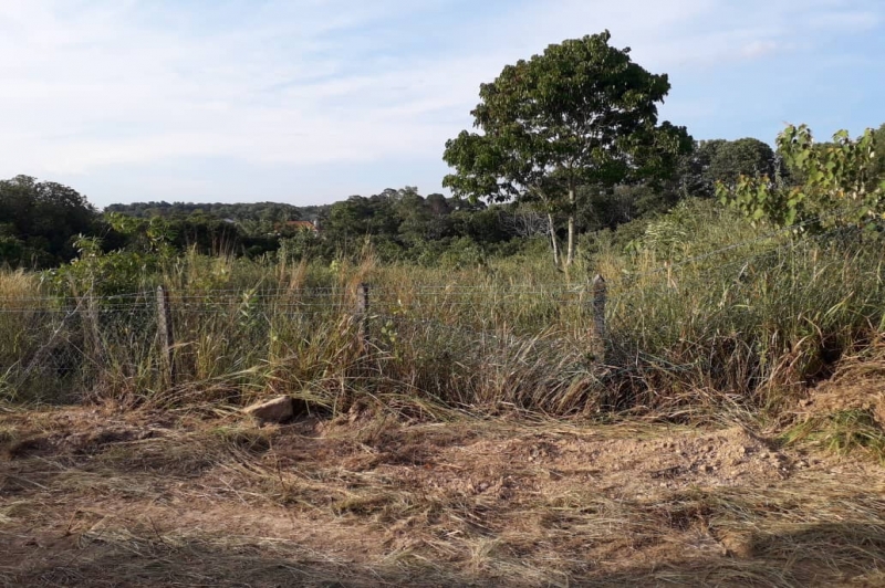 WhatsApp Image 2019-08-15 at 9.20.40 AM.jpeg